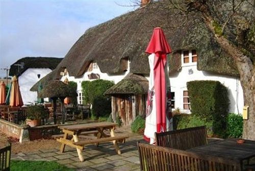 The Hatchet Inn Chute Εξωτερικό φωτογραφία